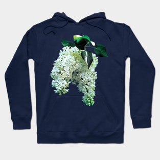 Lilacs - White Lilacs Hoodie